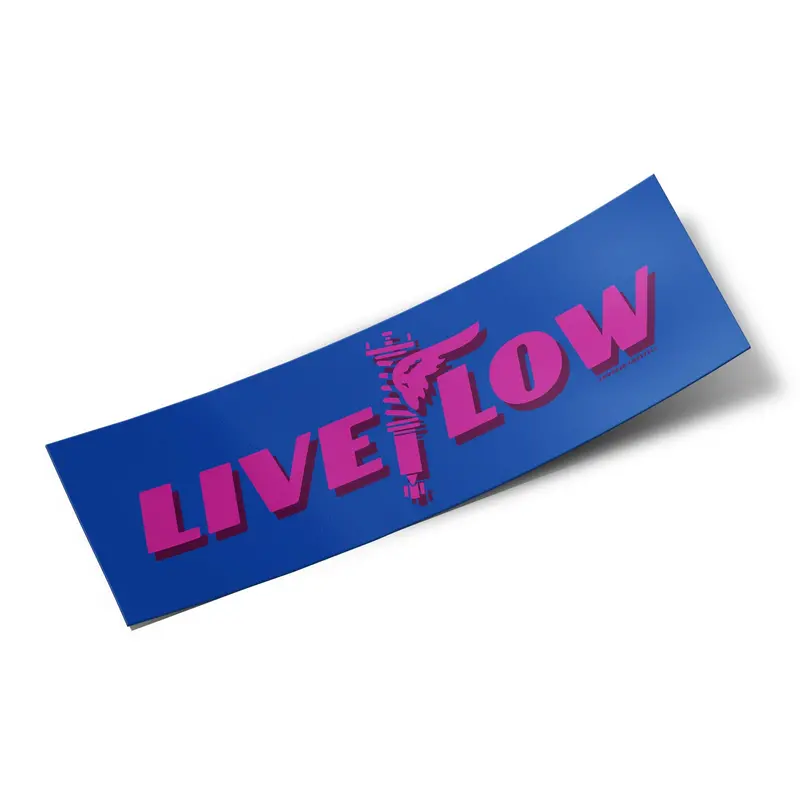 Box Sticker – Live Low Winged (Blue And Pink) 1