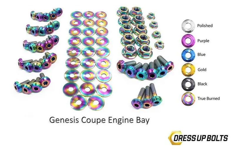 Hyundai Genesis Coupe (2009-2016) Bk Titanium Dress Up Bolts Full Engine Bay Kit 1