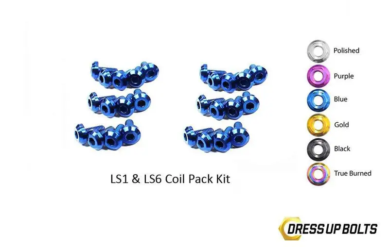 Ls1 - Ls6 Titanium Dress Up Bolts Coil Pack Kit (Corvette, Camaro, Trans Am, Gto) 1