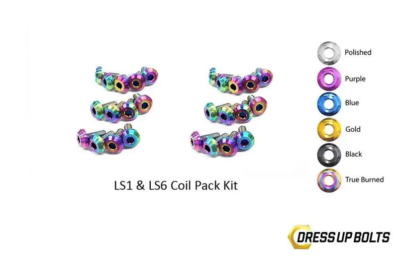 Ls1 - Ls6 Titanium Dress Up Bolts Coil Pack Kit (Corvette, Camaro, Trans Am, Gto) 2
