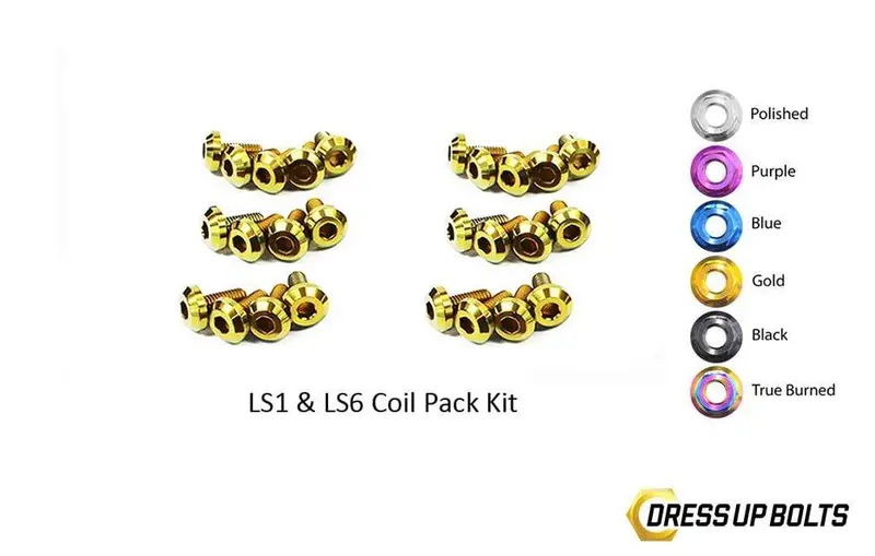 Ls1 - Ls6 Titanium Dress Up Bolts Coil Pack Kit (Corvette, Camaro, Trans Am, Gto) 3