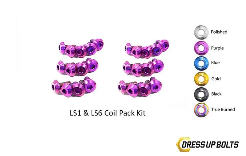 Ls1 - Ls6 Titanium Dress Up Bolts Coil Pack Kit (Corvette, Camaro, Trans Am, Gto) 4