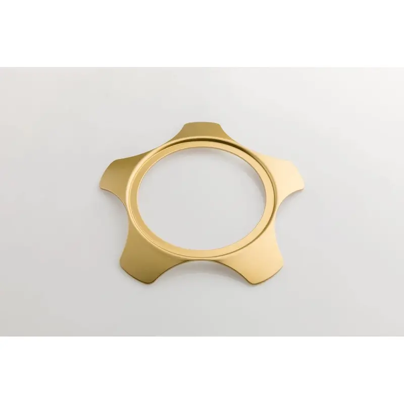 Rotiform Lsr Lug Cover Plate - Matte Gold 1