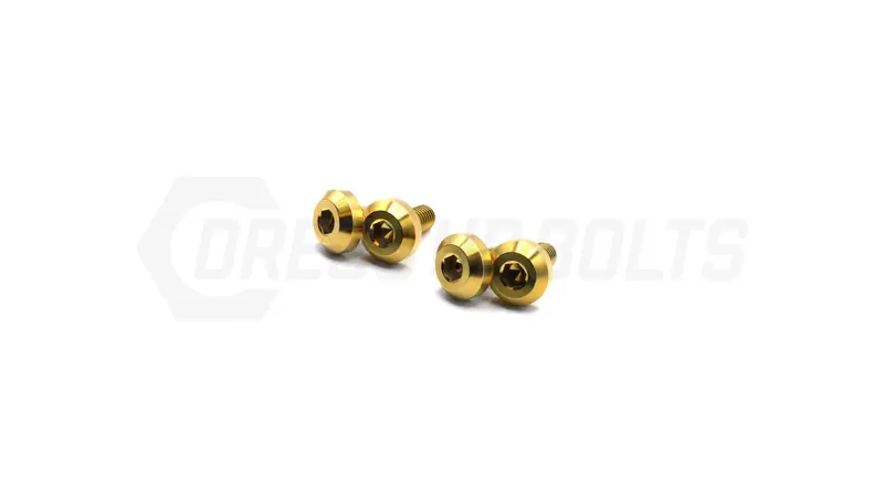 Titanium Fuel Rail Hardware Kit for LS-Series V8 Engines