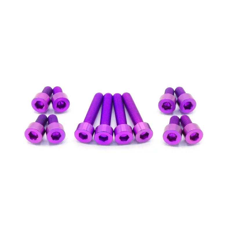 Titanium Hardware Coil Pack Cover Kit - Rb25 Engine 6
