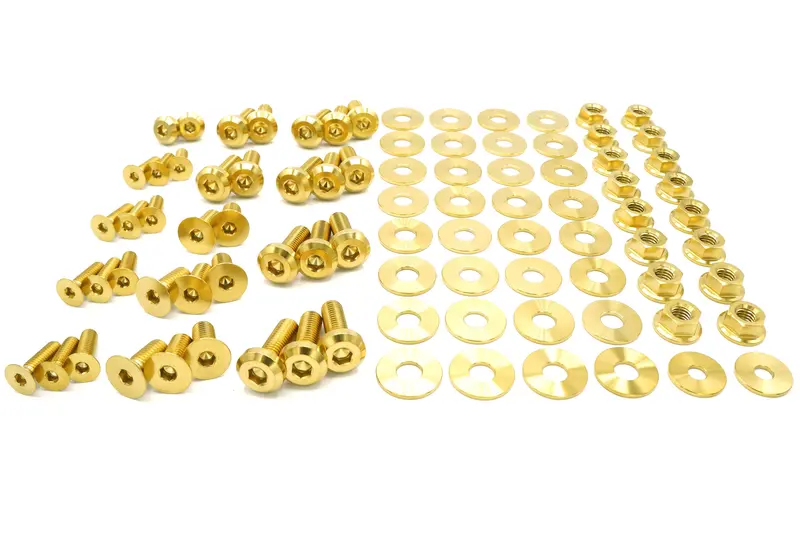 Titanium Hardware Door Kit - Dodge Charger (2015-2023) 1