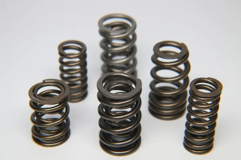 Ferrea Audi 2.0T Fsi 16V Single Valve Spring - Set Of 16 1