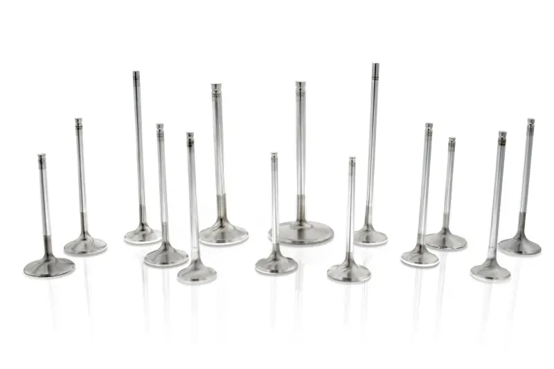 Ferrea S-Flo Intake Valve Set — 33.20Mm Stem, 5.98Mm Diameter, 102.80Mm Length, 20° Angle, For Vw Vr6 R32 (12-Pack) 1
